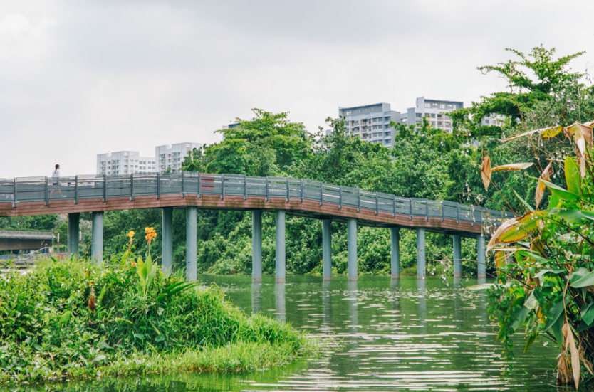 新加坡有个建在水上的公园！骑车、跑步...很多人来这里求婚！