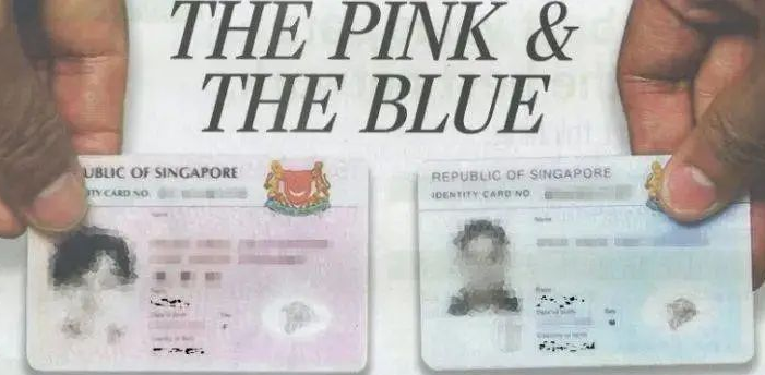 椰子妈咪丨在新加坡，给孩子申请PR/公民遇到这4种情况该怎么办？