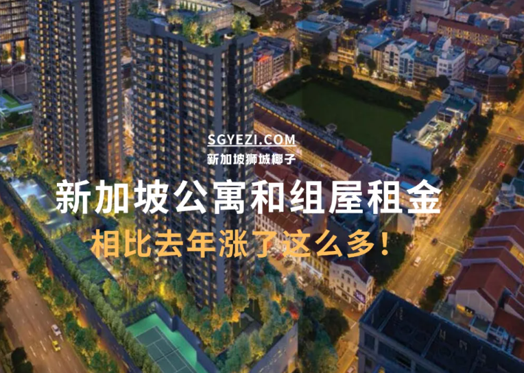 新加坡公寓和组屋，房租一年涨了这么多！