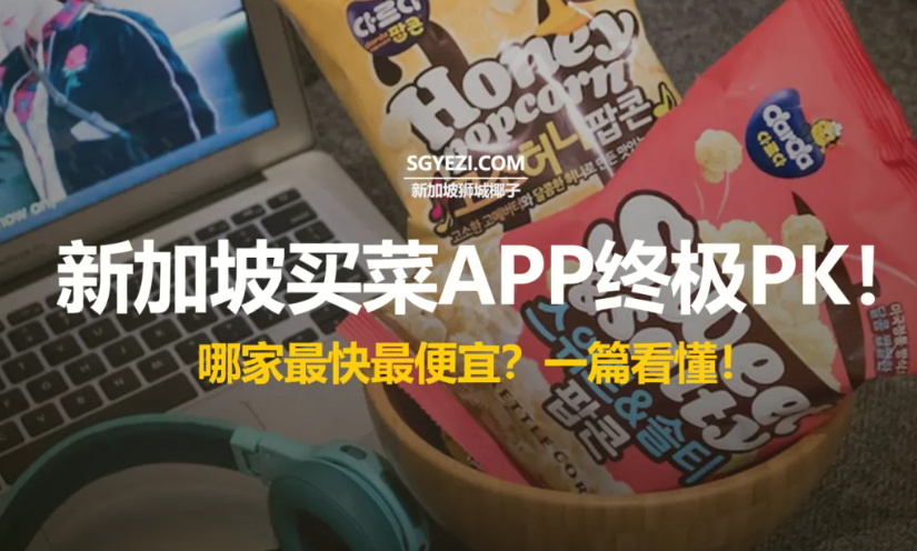 新加坡在线杂货购物全指南：平台对比与配送政策详解