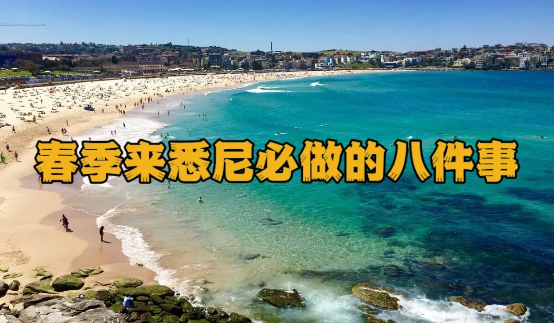 澳洲旅游8个必做的活动