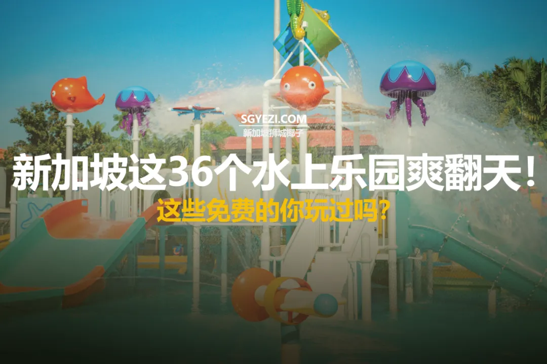 收藏！新加坡36个最佳水上乐园和水上游乐场！