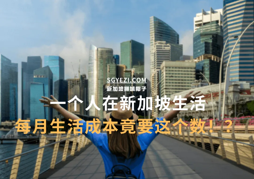 在新加坡生活，每月6000+新币才够？！