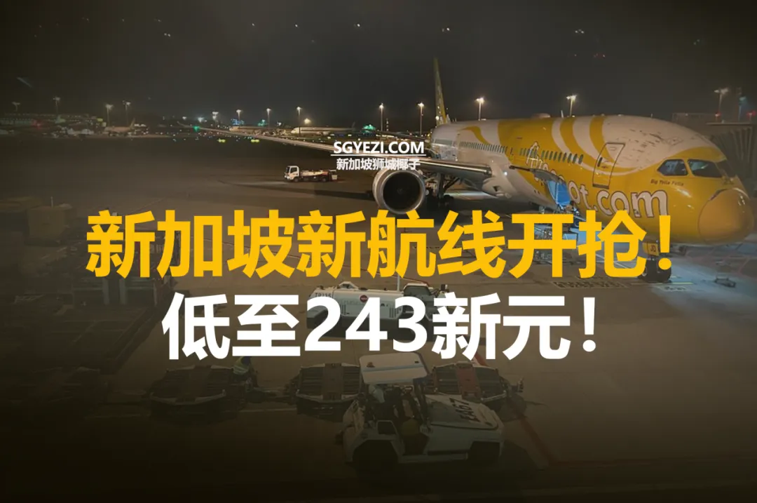 新廉价航班飞东京、冲绳和清迈！票价243.2新元
