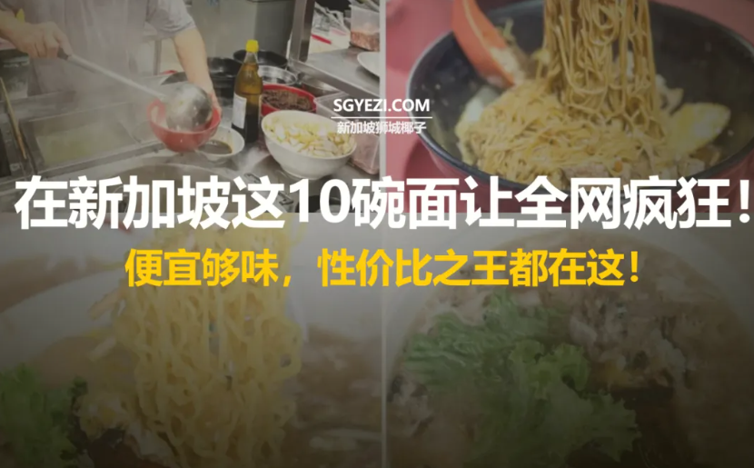 新加坡十大最佳肉脞面—Tai Wah Pork、Ru Ji Kitchen等