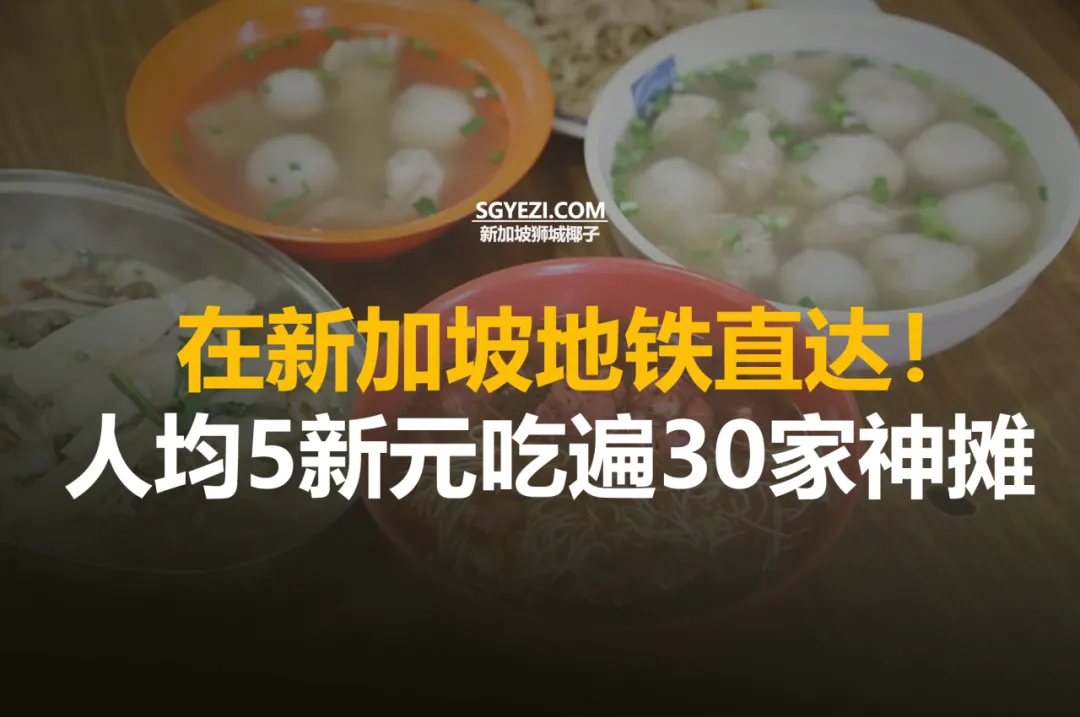 新加坡非自然历史博物馆快闪展，太帅了！