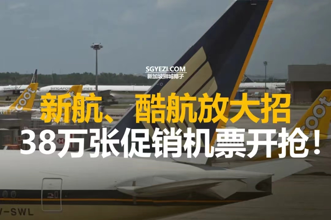 新航和酷航38万张促销机票开抢！