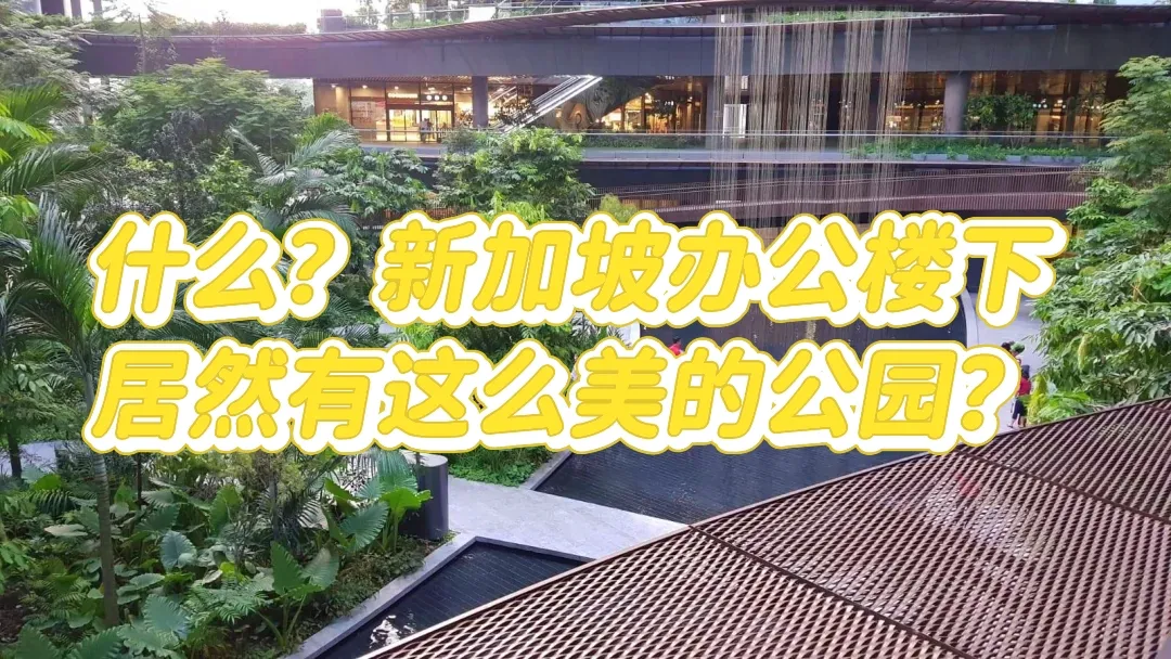 新加坡市中心的10个隐秘花园