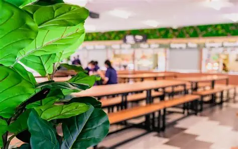 明年起，新加坡这13所小学食堂没小贩了！家长吵翻天！