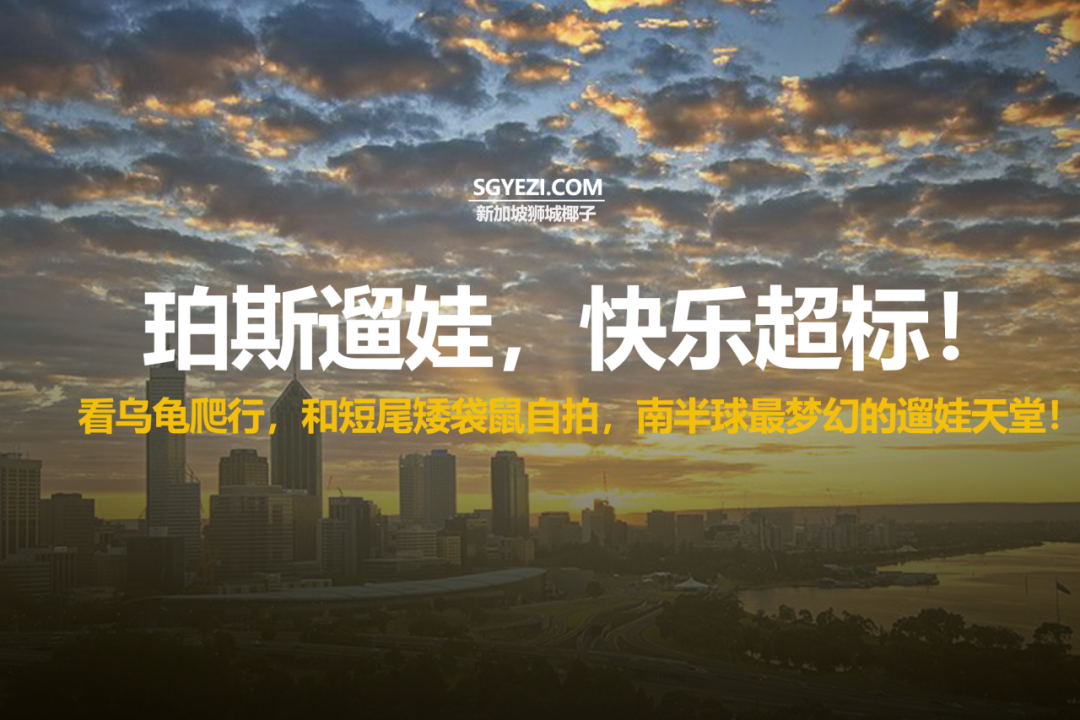与孩子一起玩转澳大利亚珀斯！游玩、住宿、美食与娱乐指南