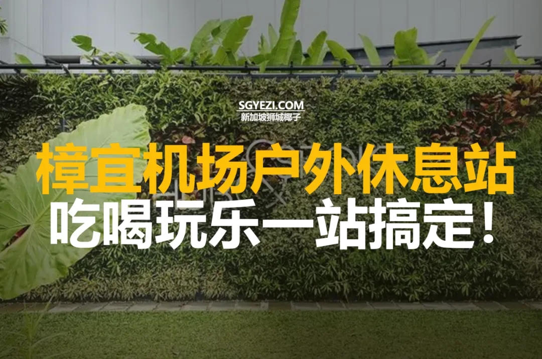 樟宜机场户外休息站的9个必游活动