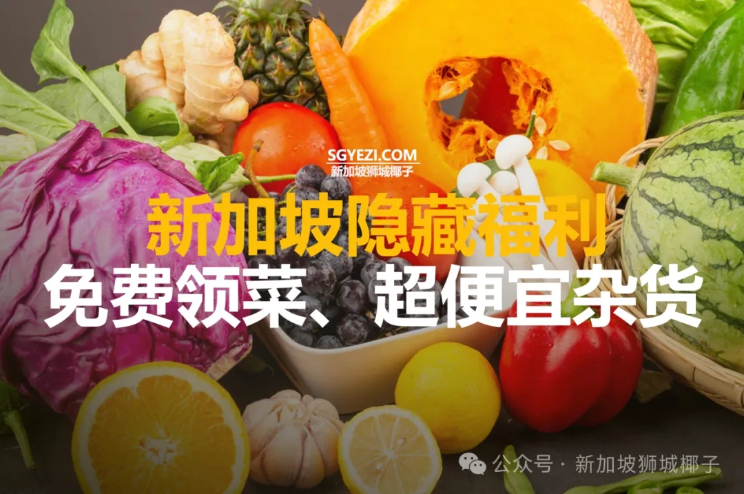 新加坡免费领菜、超便宜杂货