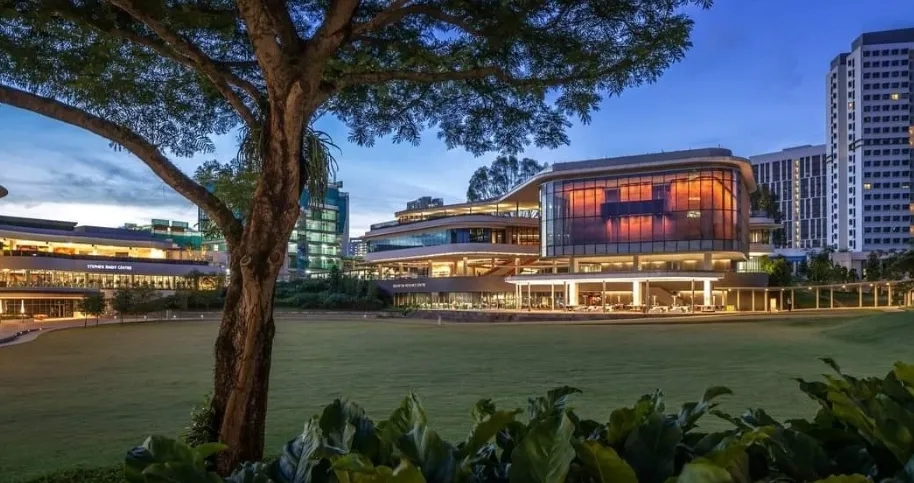 新加坡国立大学宣布结束每周5天居家办公！引发热议~