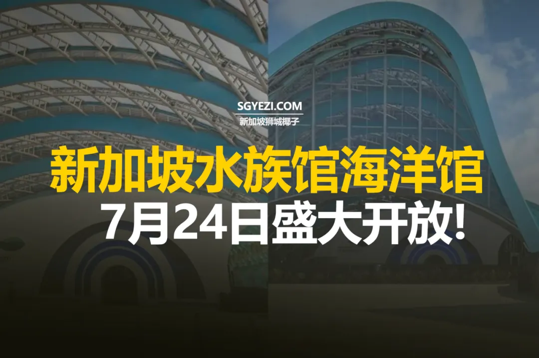 新加坡环宇海洋馆来了！圣淘沙名胜世界全新升级的水下奇观~