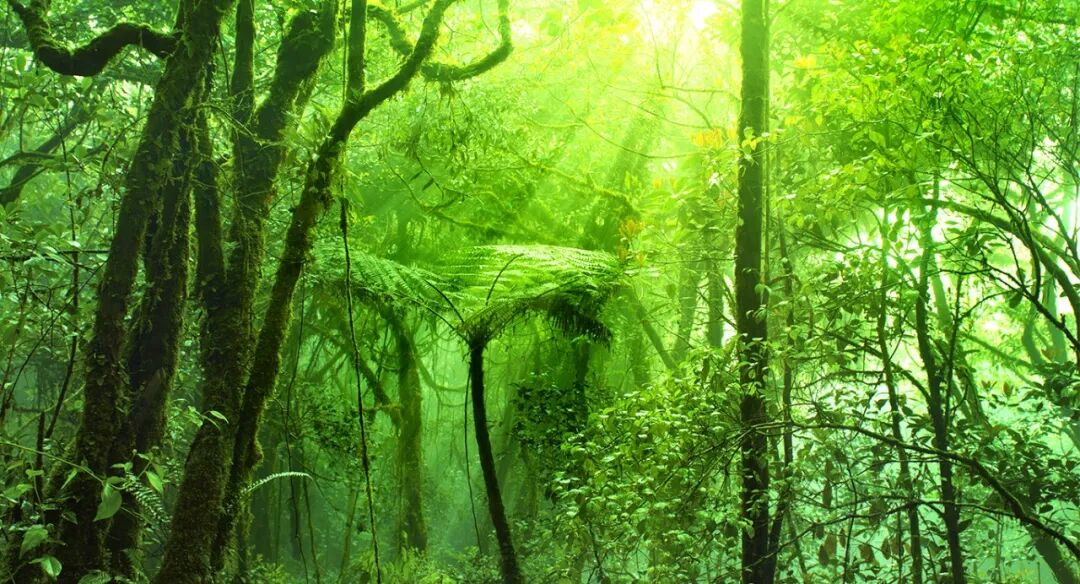 马来西亚金马伦高原！15个酷炫活动太爽了