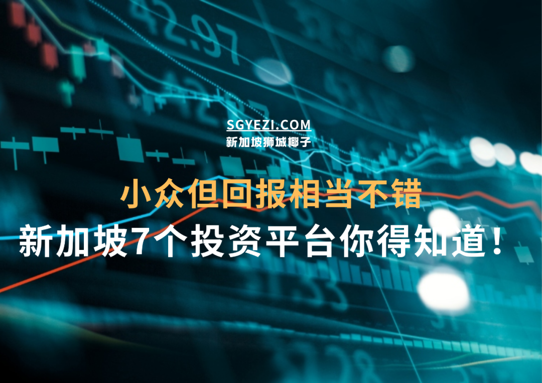 新加坡竟有这7个另类小众的投资平台！1000新起投~