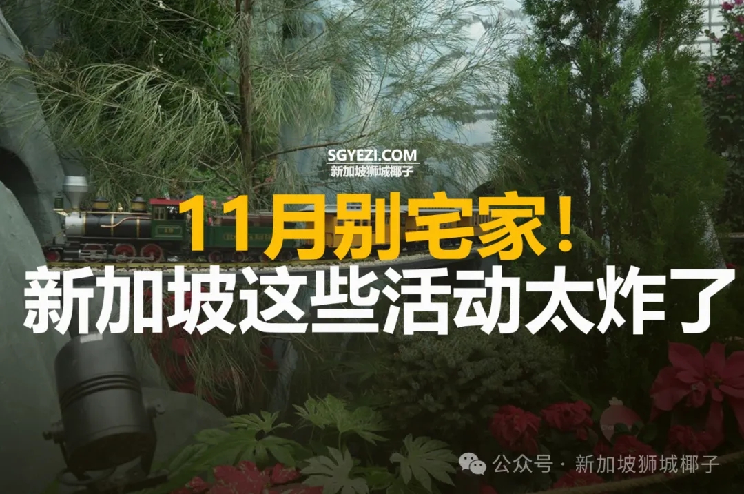 11月别宅家！新加坡这些活动太炸了