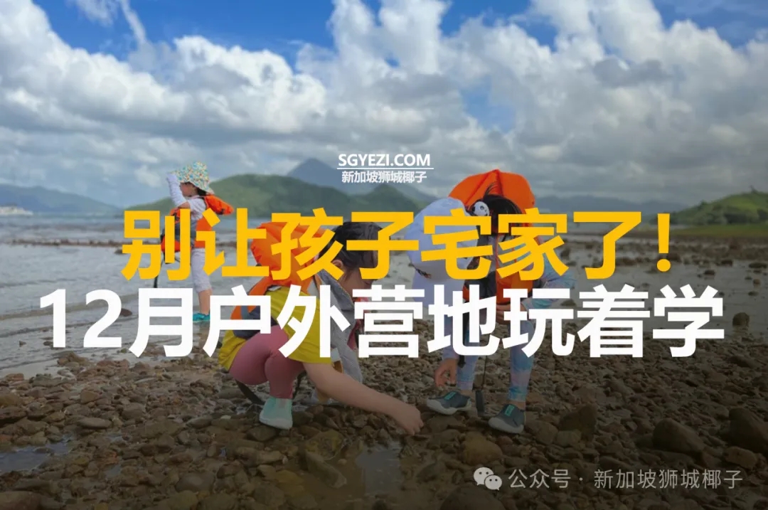 甩掉电子设备！12月户外营地让孩子玩到嗨