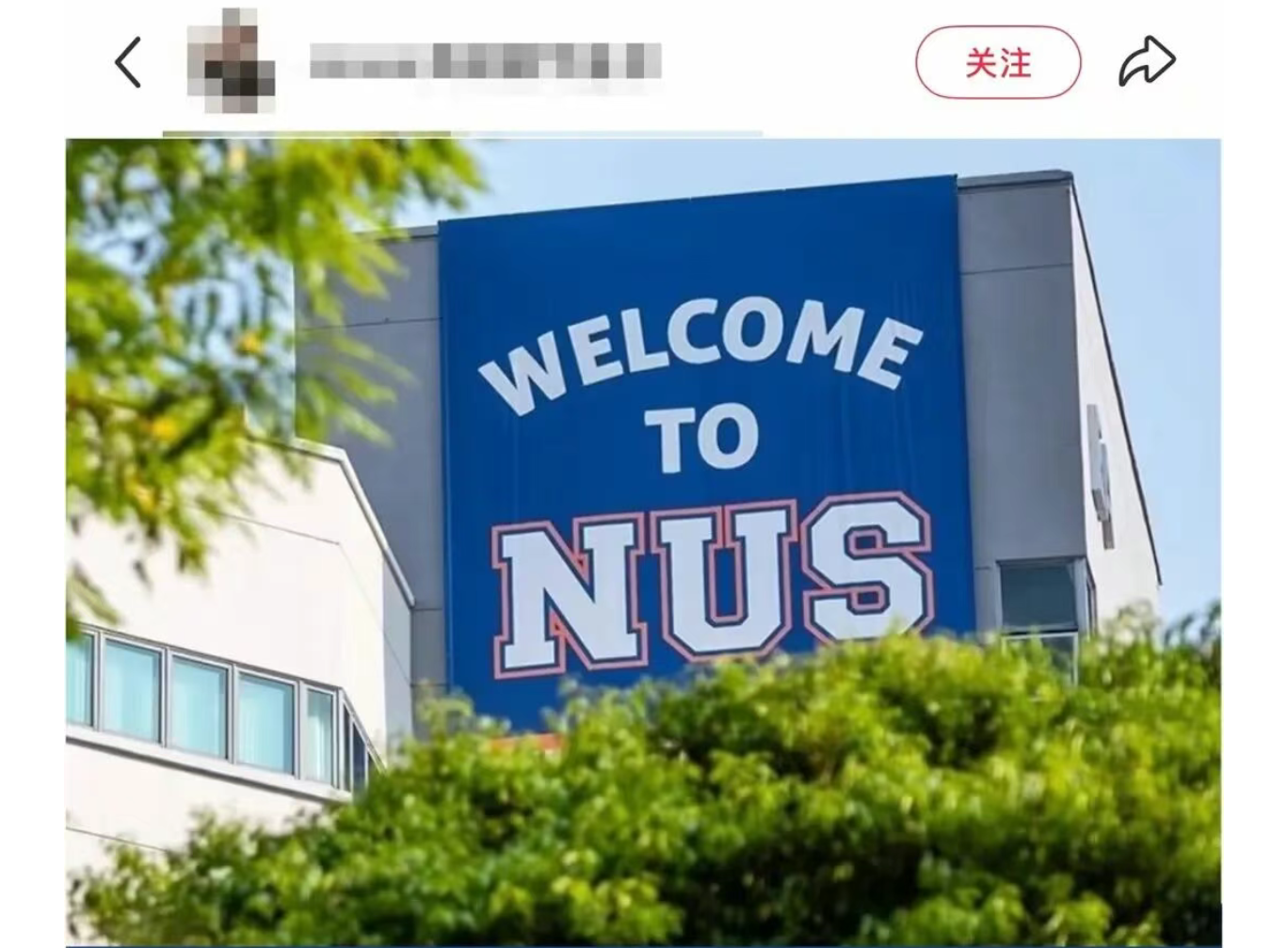 30万保进新加坡国立大学？国大、南大联合发声：造假入学=直接开除！