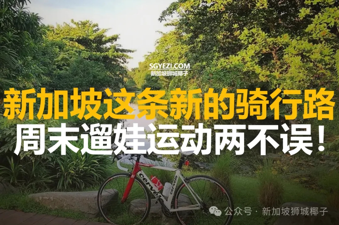 新加坡新建10公里骑行路线！连接植物园和滨海湾