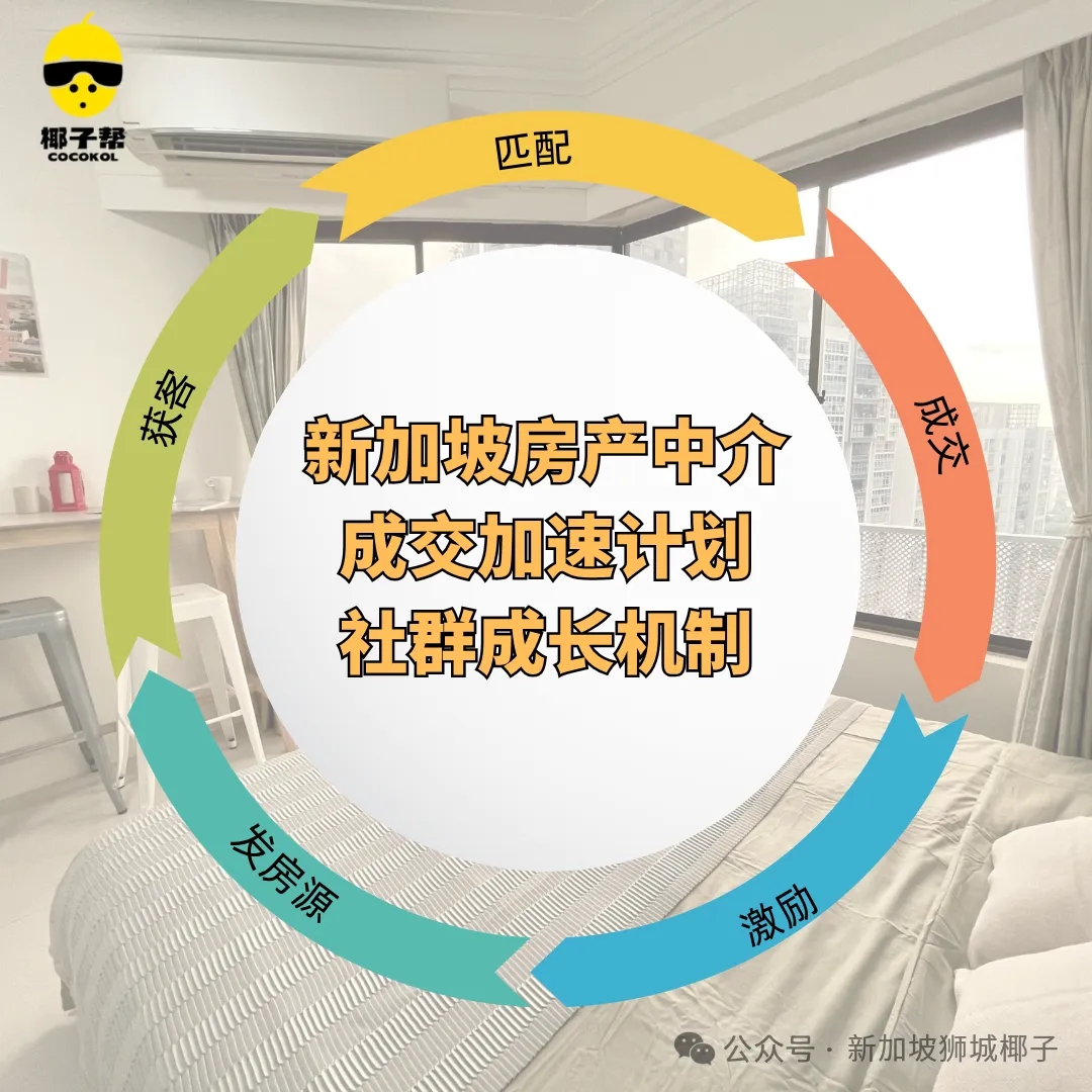 新加坡房产中介如何快速上手？用这套方法，首年收入超同行3倍！