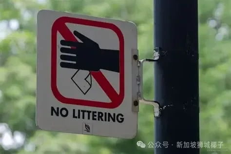 他在新加坡被罚了16000元！只因为一件小事