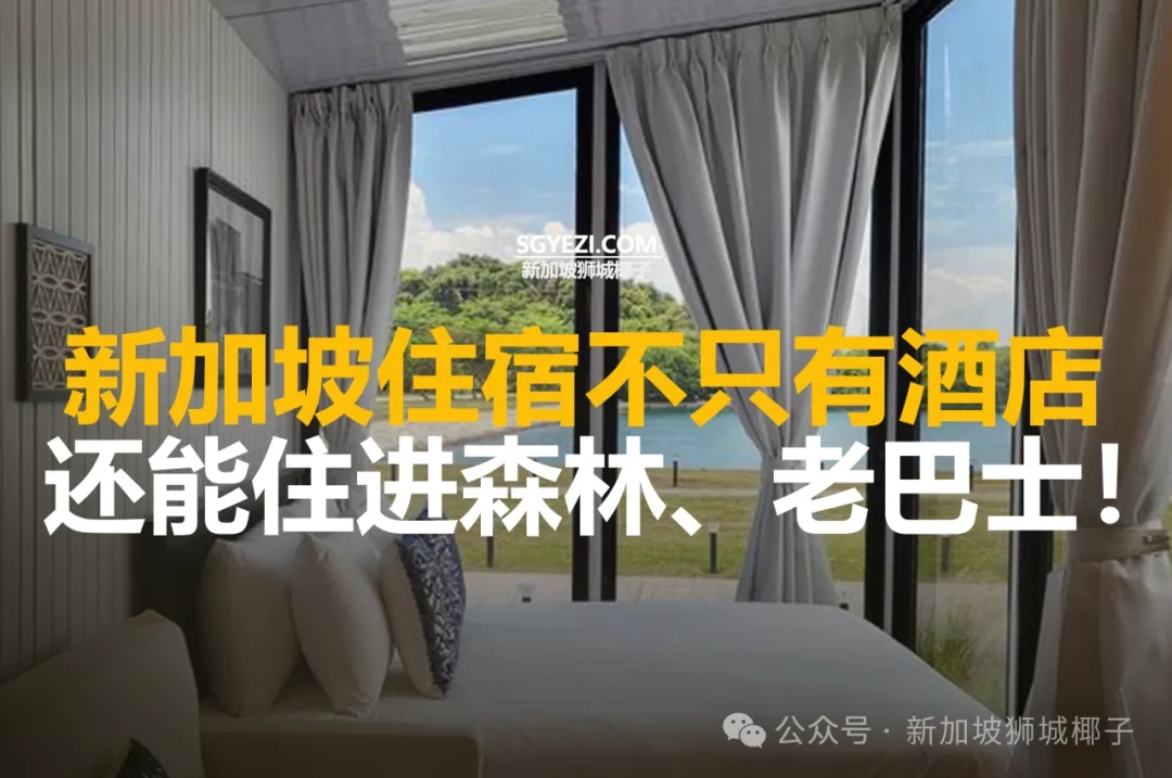 新加坡住宿不只有酒店，还能住进森林、老巴士!