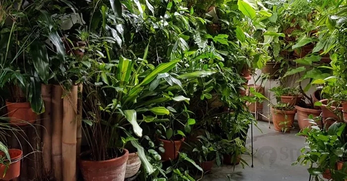 “新加坡组屋允许随意这样做么？存在严重的安全隐患 ”