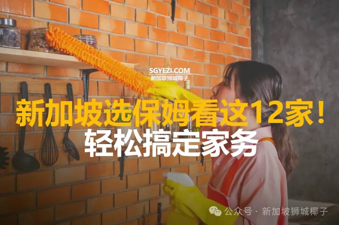 新加坡选保姆，看这12家!轻松搞定家务