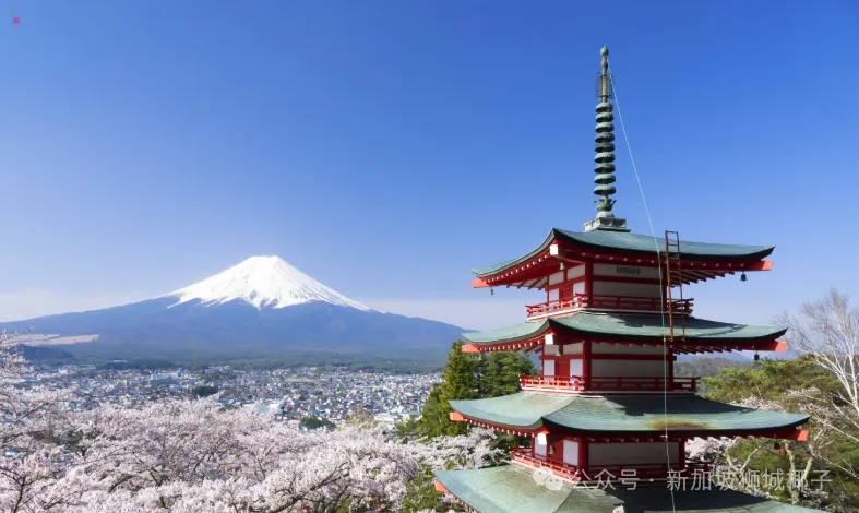 历史最高！新币兑日元120.3，兑人民币6月最低5.4X！新加坡餐饮业最惨