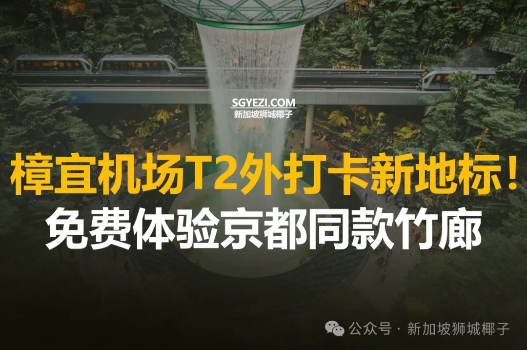 樟宜机场新增竹林步道，T2外享受禅意时光