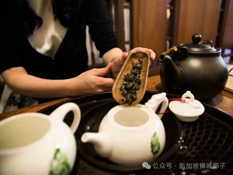 用这11种方式，最全体验新加坡文化！这个太值了