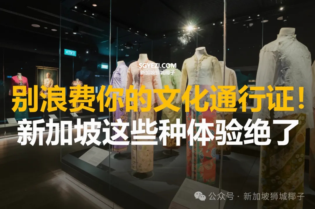 用这11种方式，最全体验新加坡文化！这个太值了