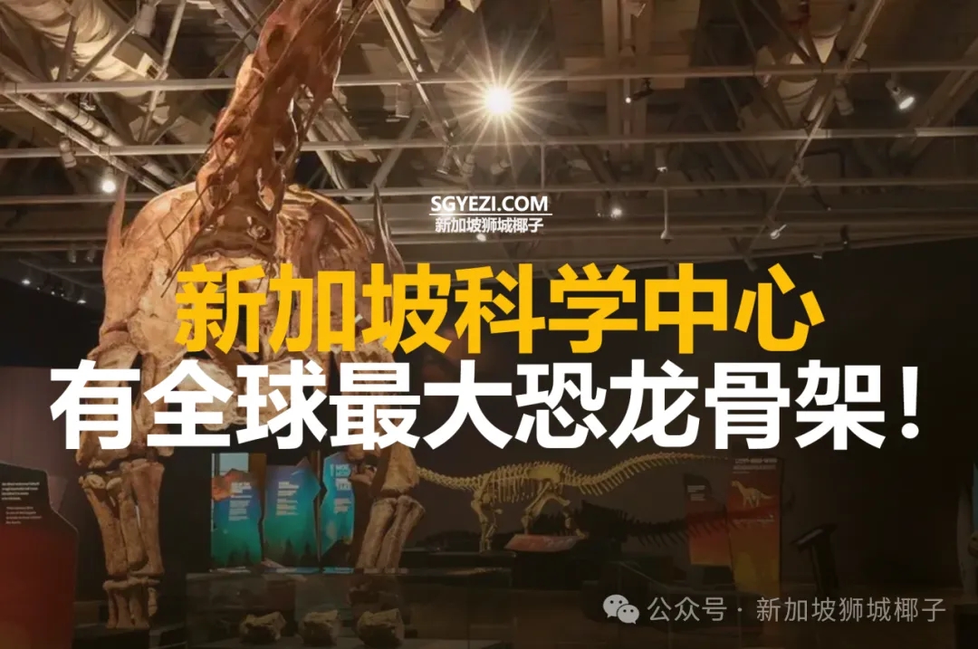 在新加坡科学中心,有全球最大恐龙骨架!
