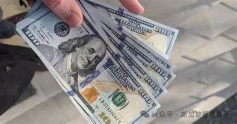 在新加坡, 这个定存模式！利率比存新币更好，最高4%！