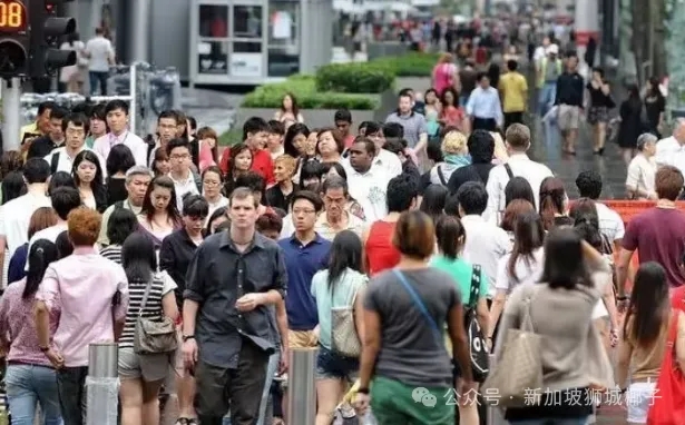 2026年新加坡准证大幅收紧!申请PR的最后黄金期!