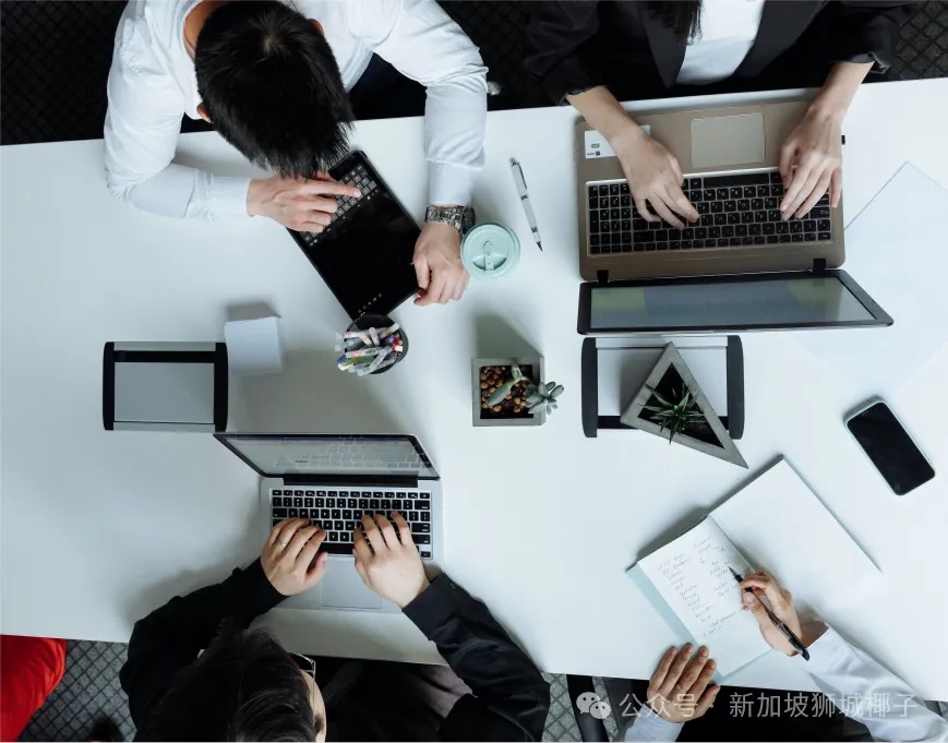 新加坡11个投资平台，最适合初学者~