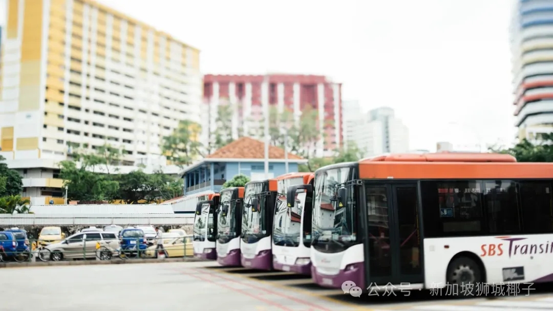 新增17条巴士线路、调整7条！新加坡西部、东北部居民日常通勤出行更方便了~