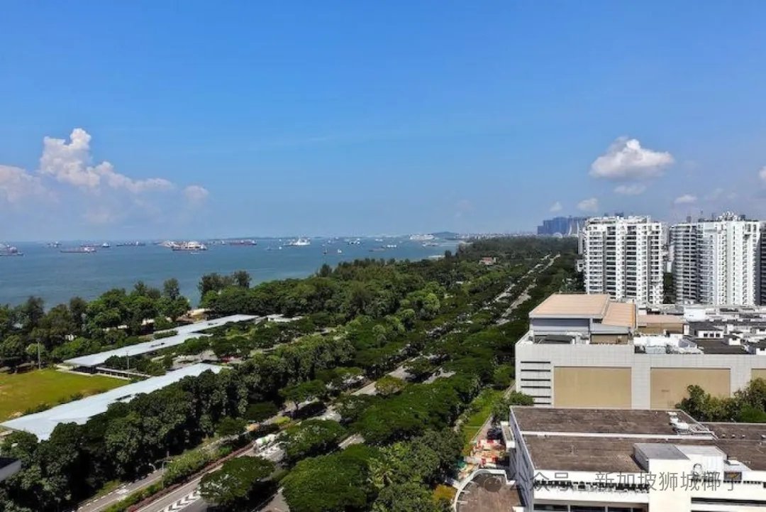 敲定了！新加坡全岛马上大变样！