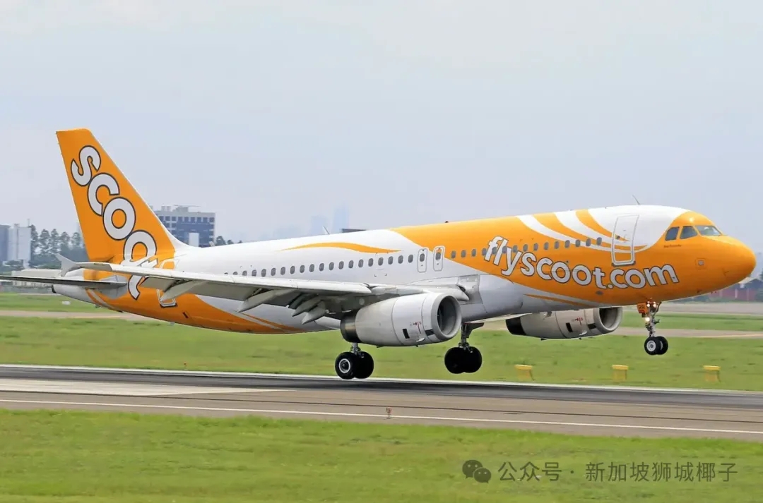 新加坡飞中国的机票，这样买真的省！