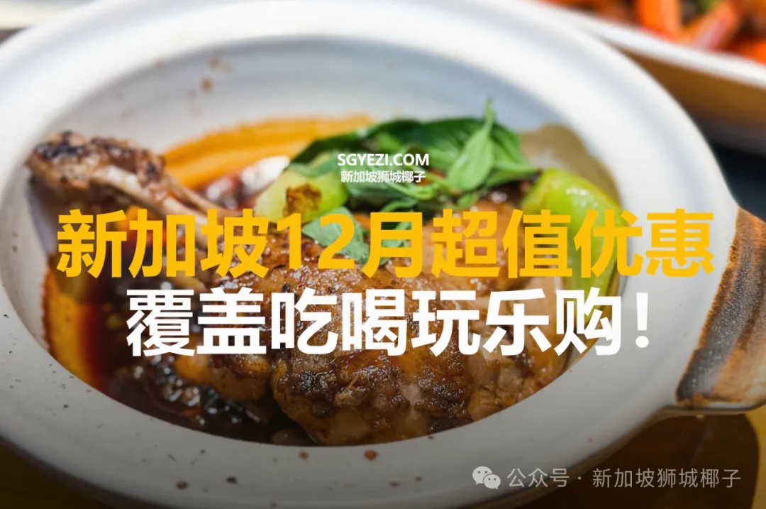 新加坡12月超值优惠！17个折扣快来抢