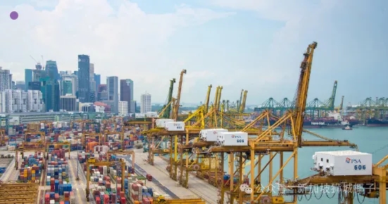 最近 ，新加坡真的破防了？