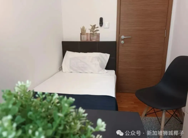 “在新加坡租贵一点没关系，只要能抢回每天的多余时间！”