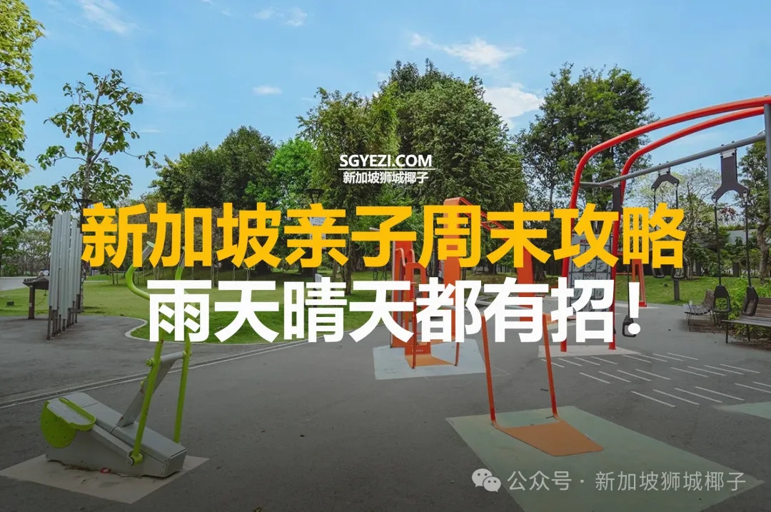 新加坡带娃放电天花板！54种玩法，全年不重样