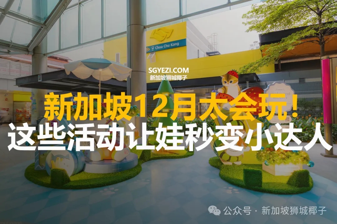 不可错过！新加坡12月的15个必打卡活动