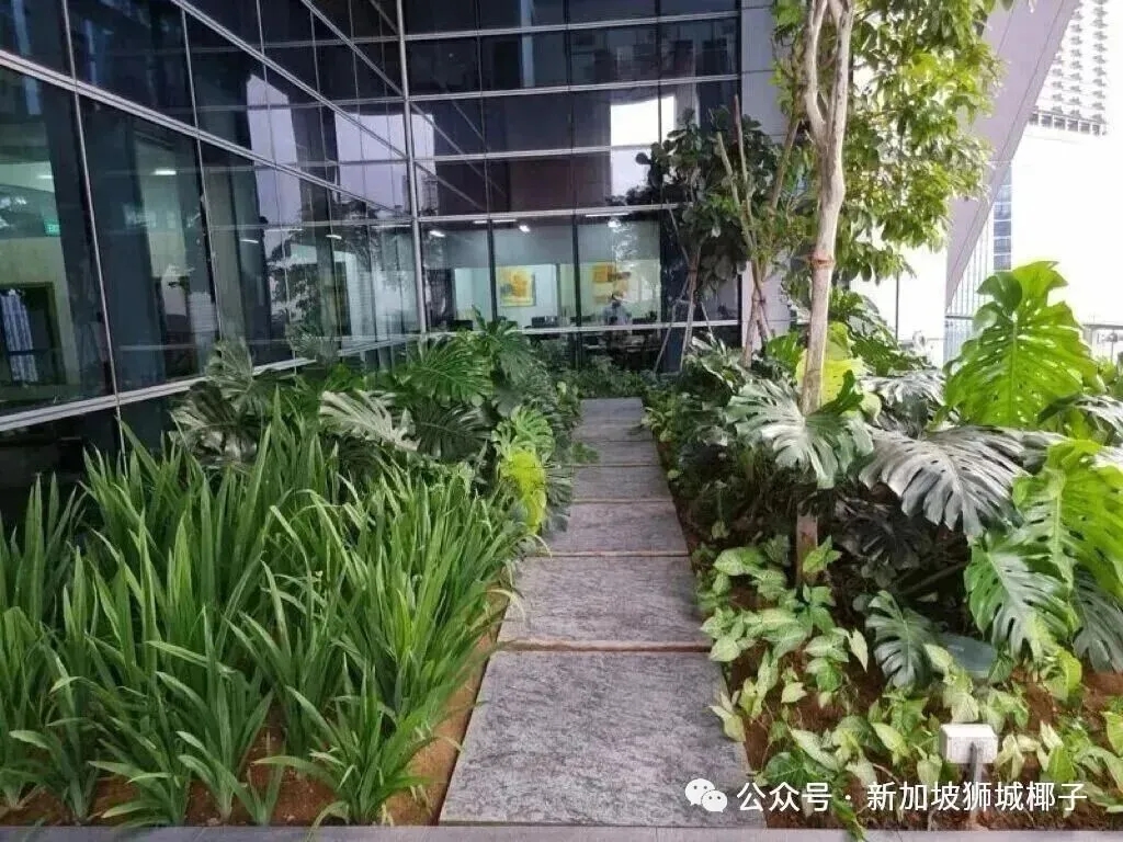 吐血整理！在新加坡租固定办公室的4大黄金理由！