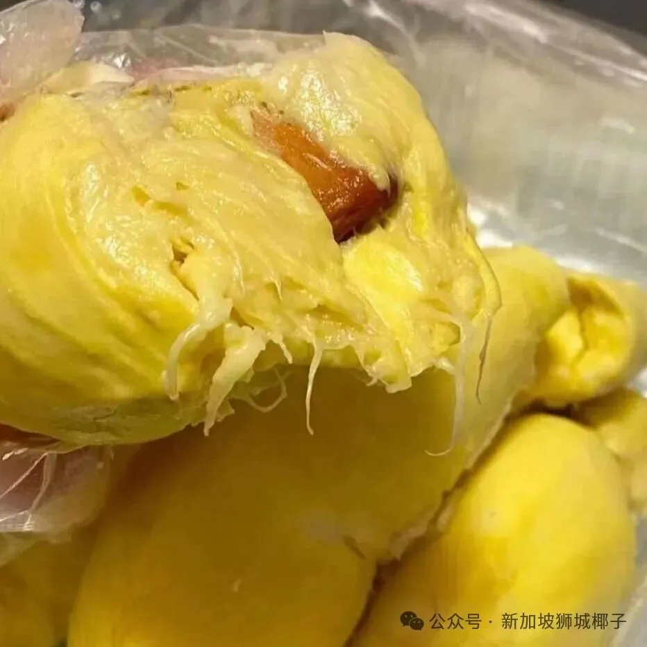 马来西亚产地猫山王榴莲包邮中国！一个也能发！