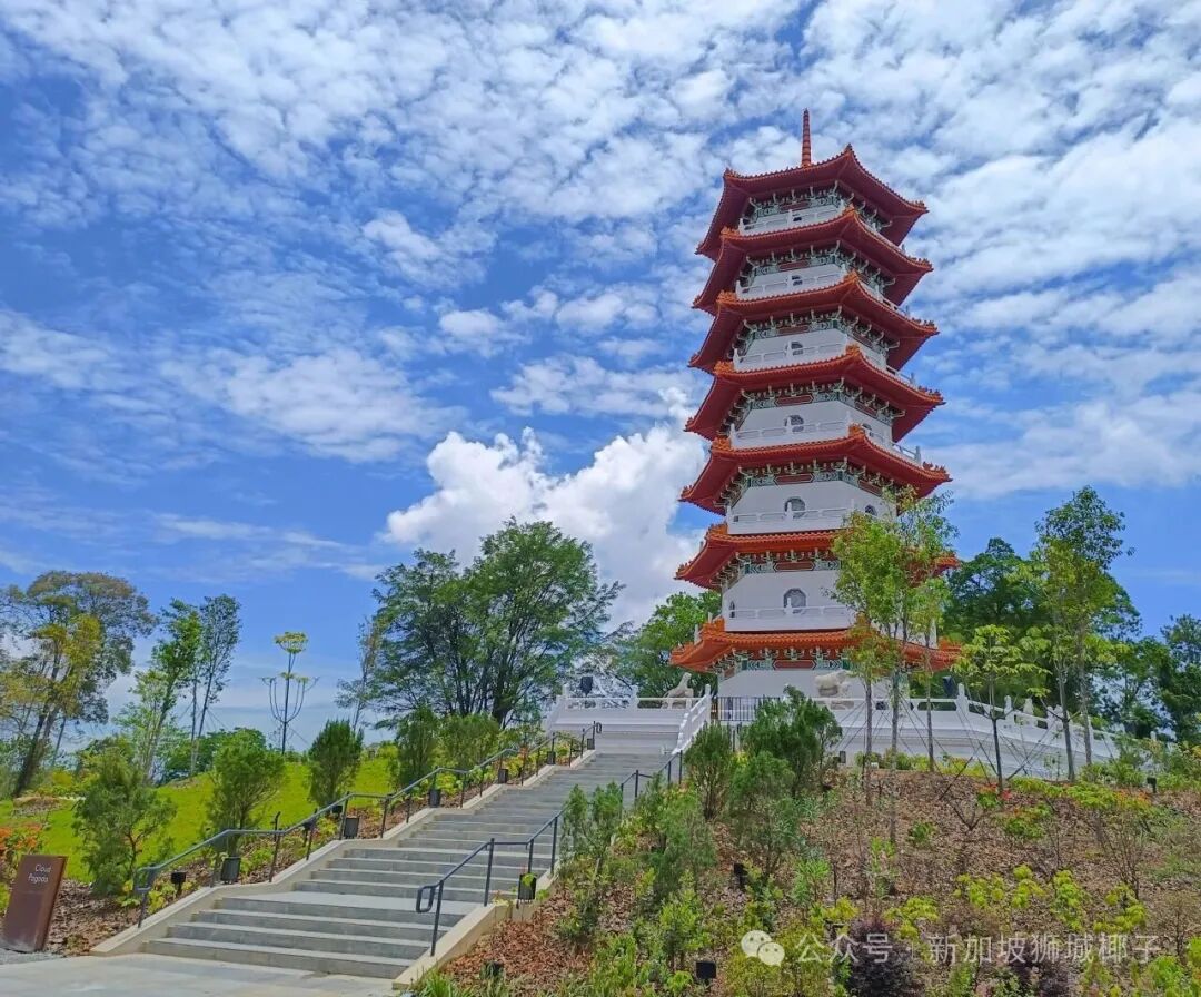 来新加坡别只知道滨海湾！裕廊湖畔两大神秘花园，90%人没逛全