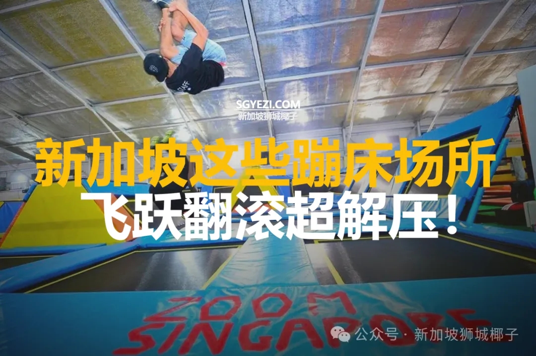 周末别再问去哪了！新加坡蹦床公园全攻略：从免费到专业，一篇看懂