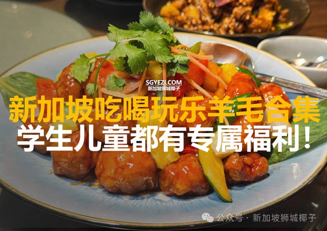 火锅半价、机票打折、儿童免费…新加坡本周省钱吃喝玩都在这~